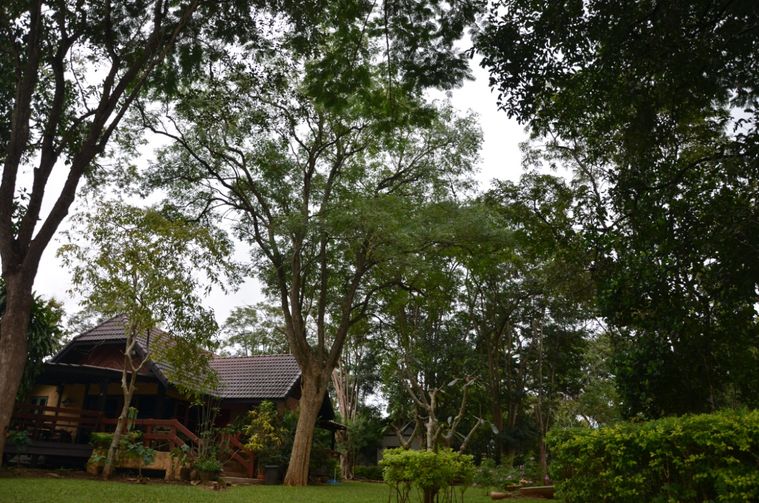 ขายด่วน บ้านพักตากอากาศ เนื้อที่ไร่กว่า ต้นไม้ใหญ่ครึ้ม ในโครงการภูตะวัน อ.ปากช่อง