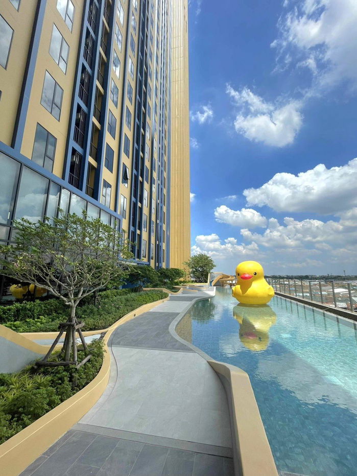 รูป **สถานะตามภาพปก **ให้เช่า! ห้องใหม่แกะกล่อง (มือ 1) PLUM CONDO NEW WEST ติดเซ็นทรัล เวสต์เกต เฟสใหม่ตึกในสุด) ราคาเหมาะสม แปลนห้องใหม่SN490.นิวเวส02 - รูปที่ 15/30