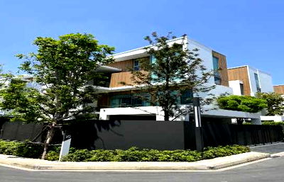 บ้านเดี่ยวให้เช่า : ให้ เช่า บ้านเดี่ยว วีเว่ พระราม 9 VIVE RAMA 9 Japandi House 324ตรม. 84ตรว. 3 ชั้น 3 ห้องนอน 4 ห้องน้ำ 3ที่จอดรถ ติด รร. นานาชาติ Wellington