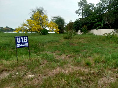 ที่ดิน สามโคก ปทุมธานี : ขายที่ดินเปล่า 235 ตรว. ติดทะเลสาบ อยู่ในโครงการหมู่บ้านเดอะลากูน 1