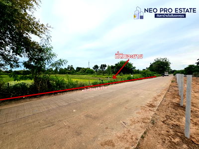 ที่ดิน เอ็กซอติค เพท  : ขายที่ดิน 2-3-62-ไร่, หน้ากว้าง 46.17 ม., ห่างบึงหนองโคตร 1กิโลเมตร, ห่างถนนศรีจันทร์ 800 เมตร