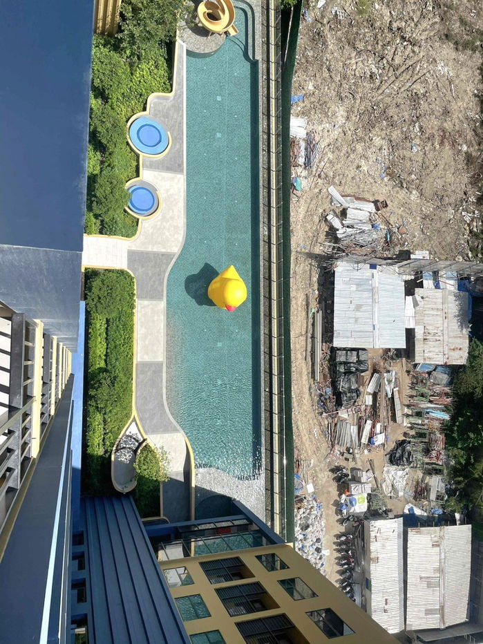 รูป **สถานะตามภาพปก **ให้เช่า! ห้องใหม่แกะกล่อง (มือ 1) PLUM CONDO NEW WEST ติดเซ็นทรัล เวสต์เกต เฟสใหม่ตึกในสุด) ราคาเหมาะสม แปลนห้องใหม่SN490.นิวเวส02 - รูปที่ 19/30