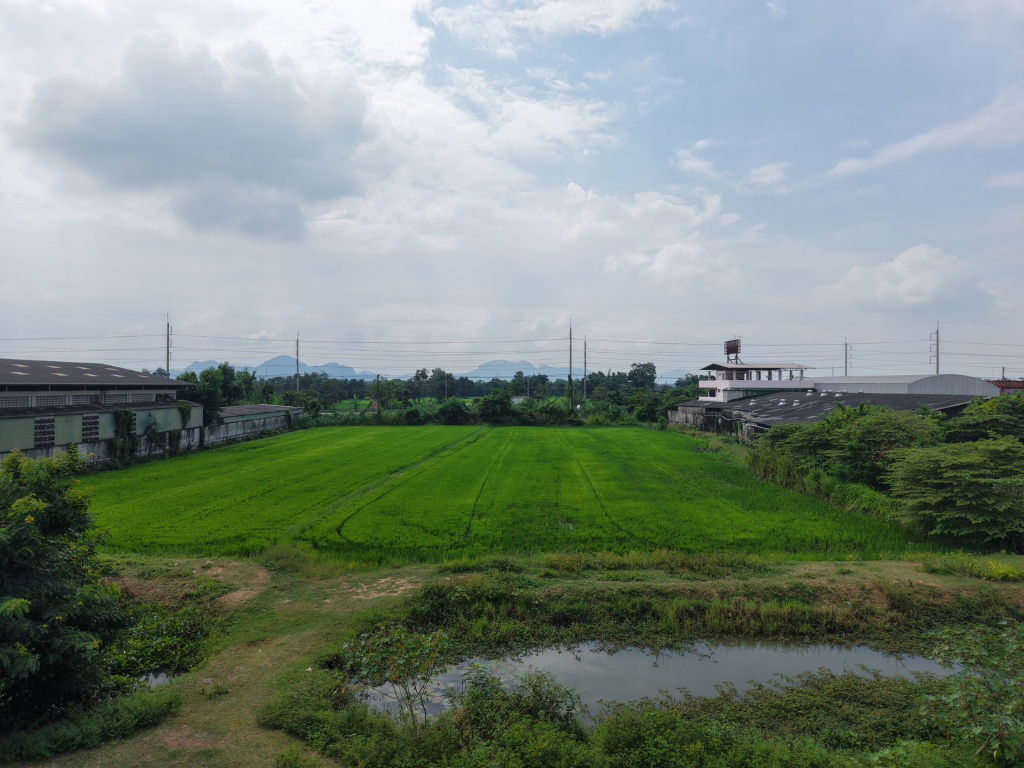 รูป เจ้าของขายเอง ที่ดินแปลงสวย 5 ไร่ 1 งาน 29 วา. ติดถนนใหญ่ 4 เลน (ถนนเพชรเกษม สายปากท่อ - ราชบุรี)เหมาะสำหรับสร้างโรงงาน โกดัง  อ.ปากท่อ ราชบุรี - รูปที่ 9/39