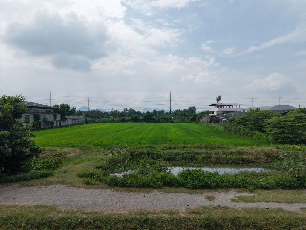 รูป เจ้าของขายเอง ที่ดินแปลงสวย 5 ไร่ 1 งาน 29 วา. ติดถนนใหญ่ 4 เลน (ถนนเพชรเกษม สายปากท่อ - ราชบุรี)เหมาะสำหรับสร้างโรงงาน โกดัง  อ.ปากท่อ ราชบุรี - รูปที่ 8/39