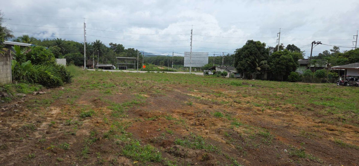 รูป ที่ดินโฉนด ติดถนนทางหลวง ใกล้โรงพยาบาลเขาพนม จ.กระบี่ - รูปที่ 6/12