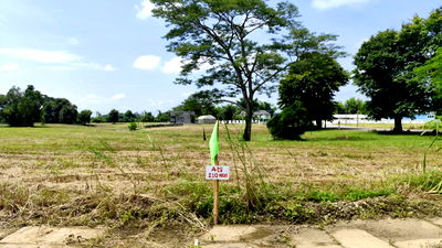 ที่ดิน แม่สาย เชียงราย : ขายที่ดินจัดสรร ติดถนนพหลโยธิน ใกล้ถ้ำหลวง-ขุนน้ำนางนอน แม่สาย เชียงราย