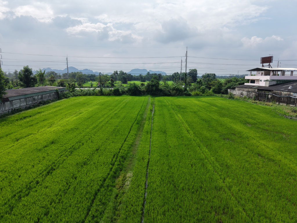 รูป เจ้าของขายเอง ที่ดินแปลงสวย 5 ไร่ 1 งาน 29 วา. ติดถนนใหญ่ 4 เลน (ถนนเพชรเกษม สายปากท่อ - ราชบุรี)เหมาะสำหรับสร้างโรงงาน โกดัง  อ.ปากท่อ ราชบุรี - รูปที่ 35/39