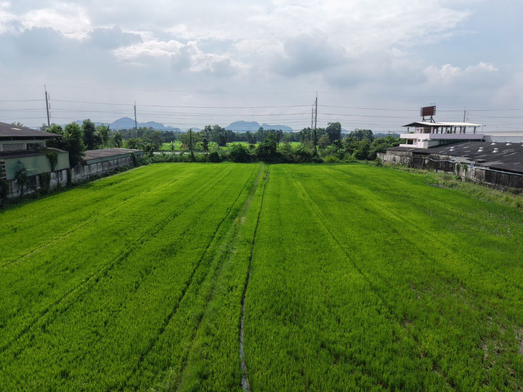 รูป เจ้าของขายเอง ที่ดินแปลงสวย 5 ไร่ 1 งาน 29 วา. ติดถนนใหญ่ 4 เลน (ถนนเพชรเกษม สายปากท่อ - ราชบุรี)เหมาะสำหรับสร้างโรงงาน โกดัง  อ.ปากท่อ ราชบุรี - รูปที่ 34/39