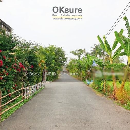 ขายที่ดิน 200 ตร.ว. เขตบางแค