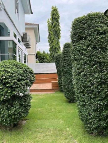 รูป ให้เช่าบ้านเดี่ยว 2ชั้น51ตรว. รามอินทรา- คู้บอน ใกล้แฟชั่นไอส์แลนด์ - รูปที่ 3/8