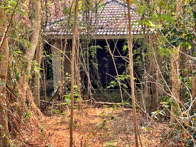 Houses for sale Chiang Mai : FOR SALE  HOUSE PROPERTY  1500000 BAHT.