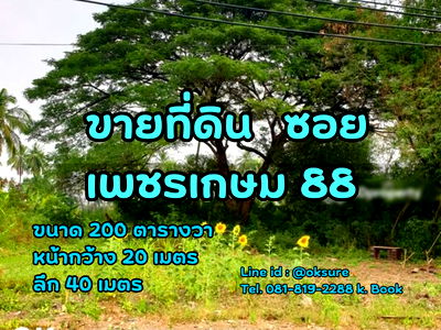 ขายที่ดิน : 🌳 ขายที่ดินสวย ซ.เพชรเกษม 88 ราคาดี เดินทางสะดวก