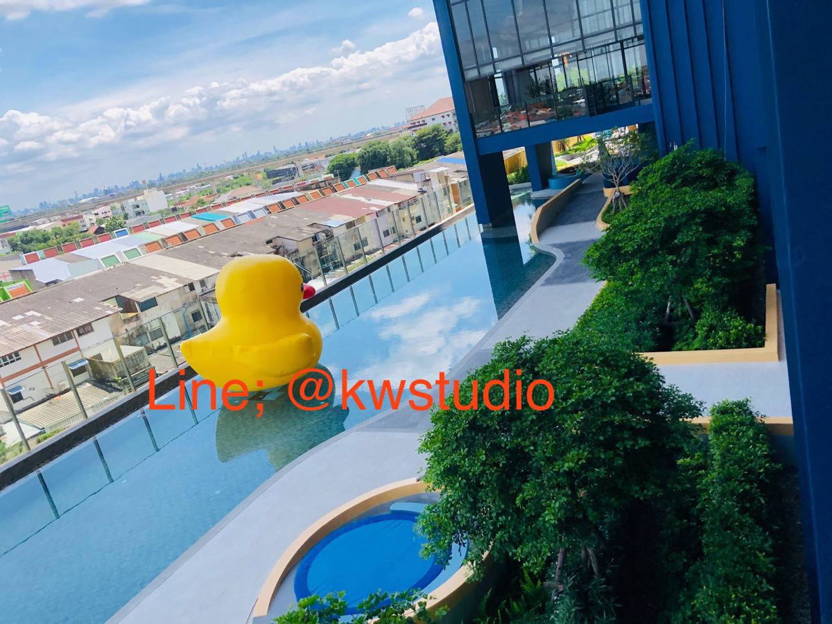 picture PLUM NEW WEST NICE ROOM POOL VIEW - 49/54