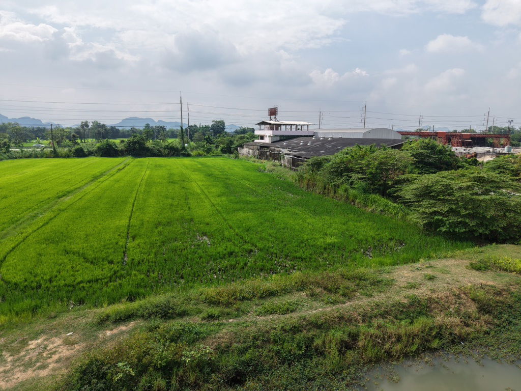 รูป เจ้าของขายเอง ที่ดินแปลงสวย 5 ไร่ 1 งาน 29 วา. ติดถนนใหญ่ 4 เลน (ถนนเพชรเกษม สายปากท่อ - ราชบุรี)เหมาะสำหรับสร้างโรงงาน โกดัง  อ.ปากท่อ ราชบุรี - รูปที่ 31/39