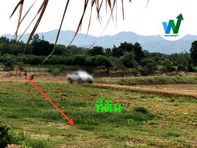 Land for sale Lom Sak Phetchabun : For Sale Land Lom Sak District Phetchabun Province