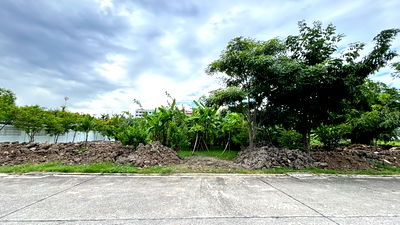 ที่ดิน ถนนประดิษฐ์มนูธรรม : ขาย ที่ดิน ซอยสุคนธ์สวัสด์ 18/1 