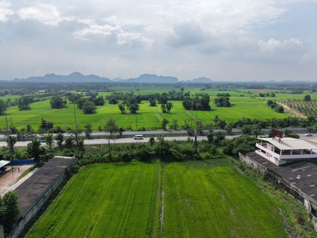 รูป เจ้าของขายเอง ที่ดินแปลงสวย 5 ไร่ 1 งาน 29 วา. ติดถนนใหญ่ 4 เลน (ถนนเพชรเกษม สายปากท่อ - ราชบุรี)เหมาะสำหรับสร้างโรงงาน โกดัง  อ.ปากท่อ ราชบุรี - รูปที่ 36/39