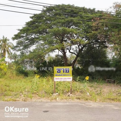 ขายที่ดิน 200 ตร.ว. เขตบางแค