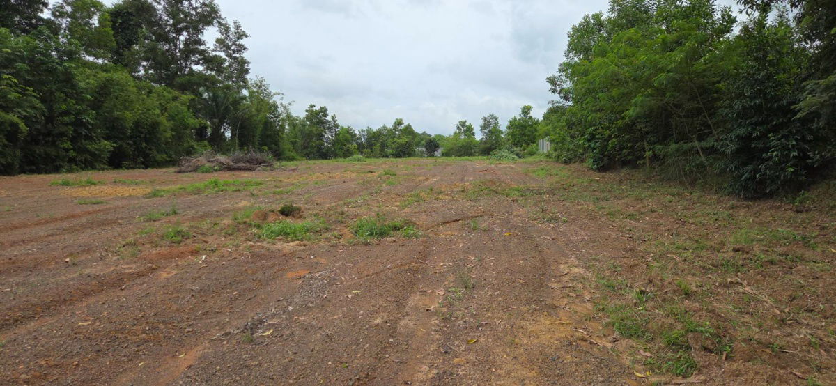 รูป ที่ดินโฉนด ติดถนนทางหลวง ใกล้โรงพยาบาลเขาพนม จ.กระบี่ - รูปที่ 7/12