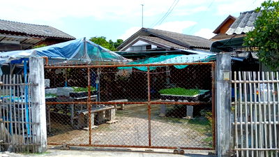 บ้านเดี่ยว นิคมภาคเหนือ ลำพูน : JK 5503180 : นอกโครงการเชียงใหม่