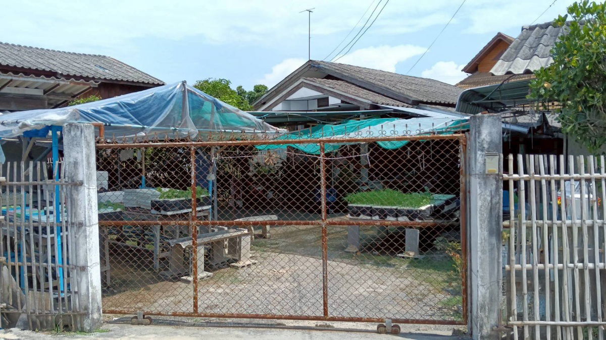 รูป JK 5503180 : นอกโครงการเชียงใหม่ - รูปที่ 1/8