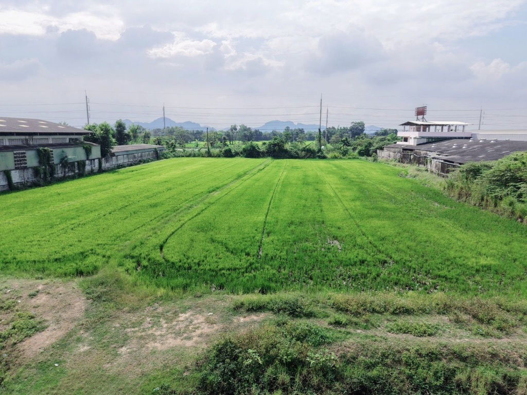 รูป เจ้าของขายเอง ที่ดินแปลงสวย 5 ไร่ 1 งาน 29 วา. ติดถนนใหญ่ 4 เลน (ถนนเพชรเกษม สายปากท่อ - ราชบุรี)เหมาะสำหรับสร้างโรงงาน โกดัง  อ.ปากท่อ ราชบุรี - รูปที่ 3/39