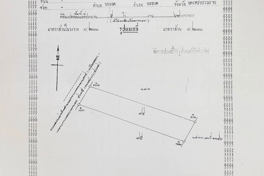 รูป ที่ดินโฉนด ติดถนนทางหลวง ใกล้โรงพยาบาลเขาพนม จ.กระบี่ - รูปที่ 10/12