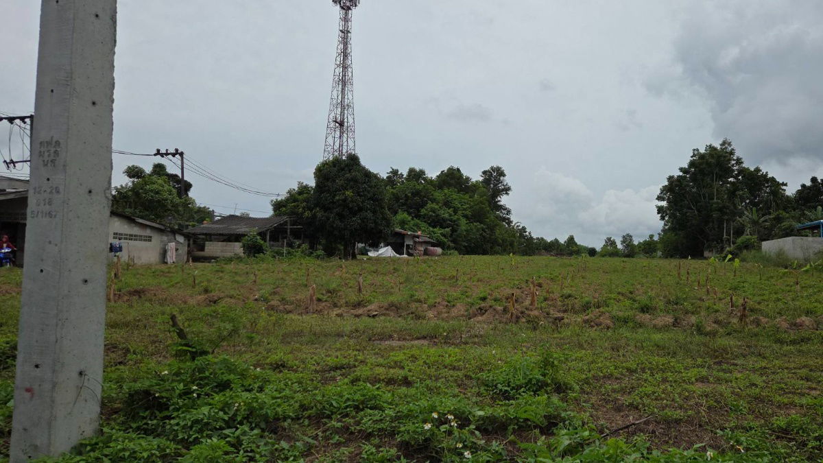 รูป ที่ดินโฉนด ติดถนนทางหลวง ใกล้โรงพยาบาลเขาพนม จ.กระบี่ - รูปที่ 4/12