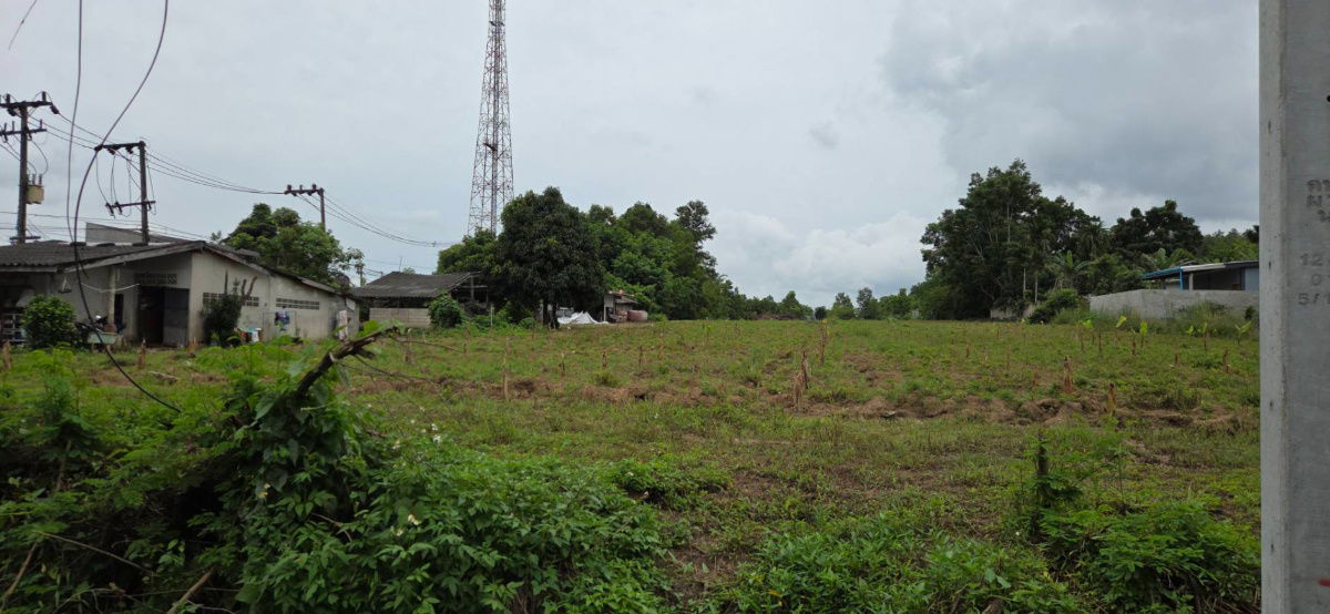 รูป ที่ดินโฉนด ติดถนนทางหลวง ใกล้โรงพยาบาลเขาพนม จ.กระบี่ - รูปที่ 1/12