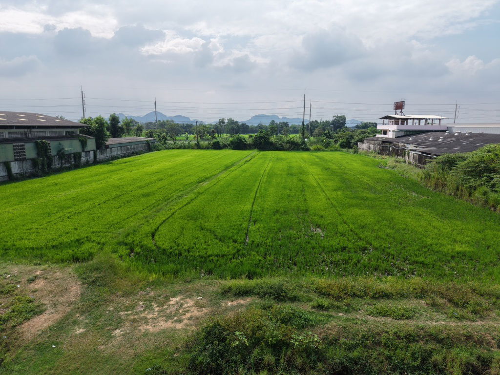 รูป เจ้าของขายเอง ที่ดินแปลงสวย 5 ไร่ 1 งาน 29 วา. ติดถนนใหญ่ 4 เลน (ถนนเพชรเกษม สายปากท่อ - ราชบุรี)เหมาะสำหรับสร้างโรงงาน โกดัง  อ.ปากท่อ ราชบุรี - รูปที่ 30/39