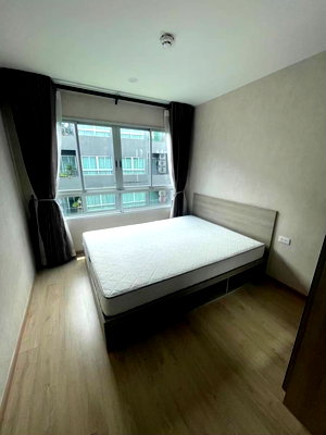 Condos for rent Sripatum University : P1157 Condo for rent Elio Del Moss, Good location near the university. Kaset and BTS Sena are ready to move in. There is a washing machine.