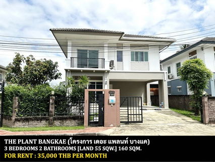 รูปภาพ [ให้เช่า] หมู่บ้าน เดอะ แพลนท์ บางแค / 3 ห้องนอน 2 ห้องน้ำ / 55 ตรว. 160 ตรม. **35,000** บ้านเดี่ยวหลังมุม ใกล้เดอะมอลล์ บางแค