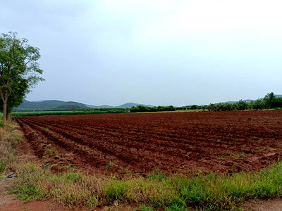 ขายที่ดิน : ✨ขายที่ดินวิวเขา 360° อ.โพธาราม จ.ราชบุรี✨