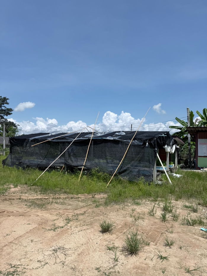 รูป ขายที่ดินทั้งหมด3แปลงเนื้อที่รวมทั้งหมด 2ไร่ 3งาน 62 ตารางวา - รูปที่ 15/21