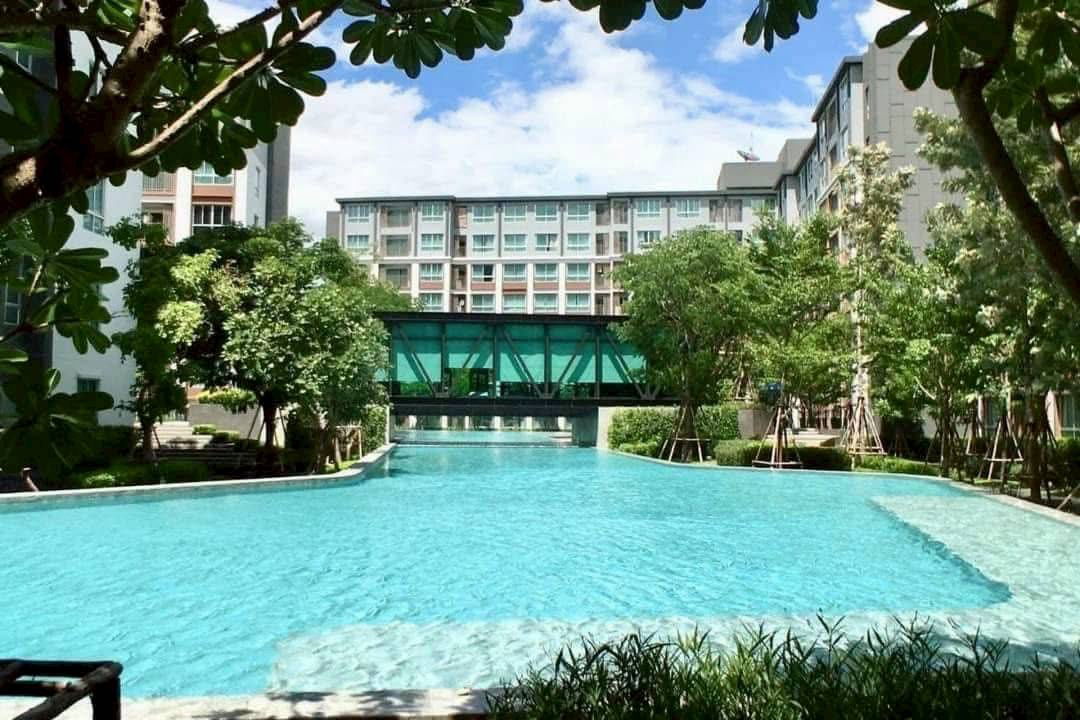 รูป ให้เช่า ดี คอนโด พิง ติดเซ็นทรัลเฟส เพียง 12,000 บาท วิวสระ ชั้นสูง ว่างพร้อมอยู่ - รูปที่ 7/7