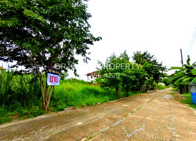 Land for sale บิ๊กซี บางใหญ่ : Land for sale 3 Ngan, 20 Sq wah, Bang Bua Thong (Ban Kluai-Sai Noi) near Central Westgate