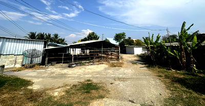 บ้านเดี่ยว ค่ายลูกเสือเมืองกำแพงแสน : BD 16123 : นอกโครงการกำเเพงเสน