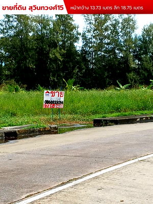 ที่ดิน เขตหนองจอก : ที่ดินเปล่าขนาด 402 ตารางวา สุวินทวงศ์15 เหมาะสำหรับสร้างที่อยู่อาศัย