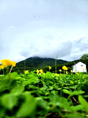 Land for sale Ban Khai Rayong : The owner said he was selling land with a view, Ban Khai District, Rayong Province. The end of the plot is next to a stream. 2.5 million baht.