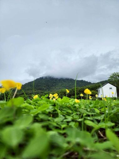 เจ้าของบอกขายที่ดินวิวเขาช่องลม อ.บ้านค่าย จ.ระยอง ท้ายแปลงติดลำธาร สวยมากๆ 2.5 ล้านบาท