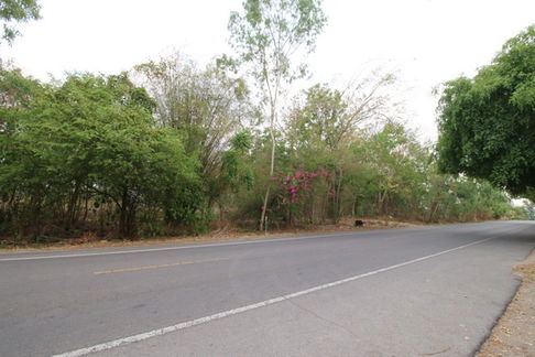 ขายที่ดิน แปลงมุม สวนผึ้ง ราชบุรี ป่าหวาย 1,115 ตร.ว หรือ 2-3-15 ไร่ ติดถนนทางหลวง โป่งยอ