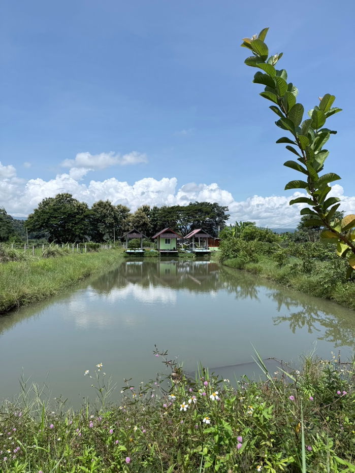 รูป ขายที่ดินทั้งหมด3แปลงเนื้อที่รวมทั้งหมด 2ไร่ 3งาน 62 ตารางวา - รูปที่ 18/21