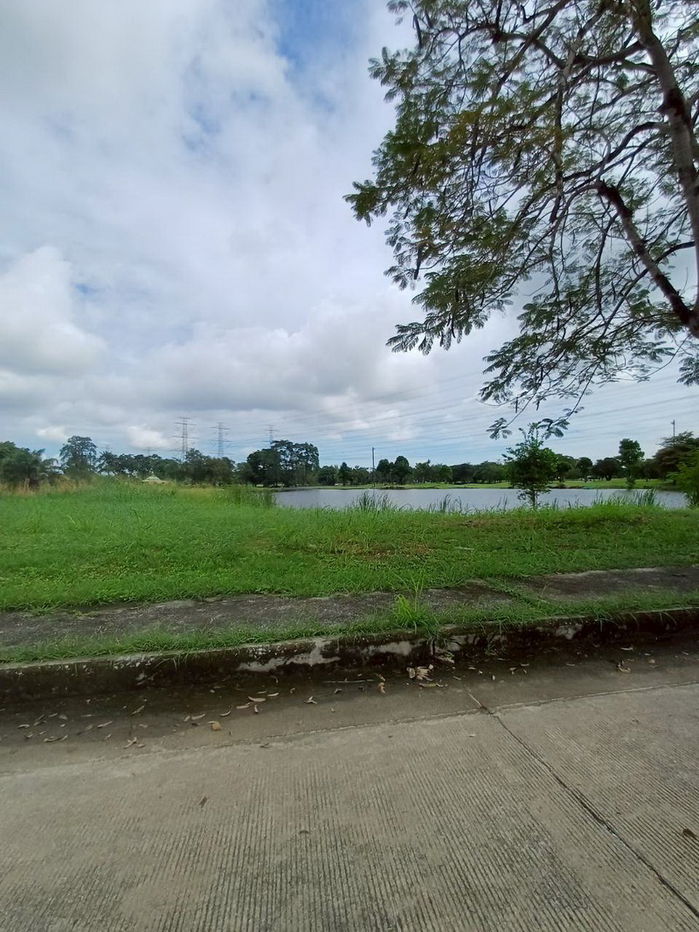 รูป ที่ดินเปล่าขนาด 402 ตารางวา สุวินทวงศ์15 เหมาะสำหรับสร้างที่อยู่อาศัย - รูปที่ 19/21