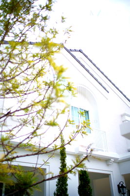 บ้านเดี่ยวให้เช่า : ให้เช่าบ้านเดี่ยว 2 ชั้น ชัยพฤกษ์ บางนา กม.15 3 ห้องนอน 4 ห้องน้ำ