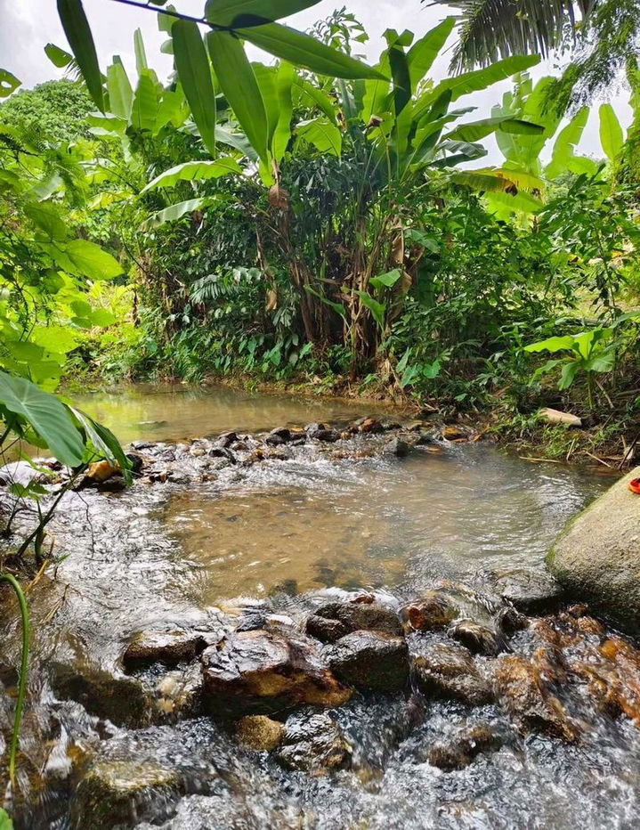 รูป เจ้าของบอกขายที่ดินวิวเขาช่องลม อ.บ้านค่าย จ.ระยอง ท้ายแปลงติดลำธาร สวยมากๆ 2.5 ล้านบาท - รูปที่ 3/13