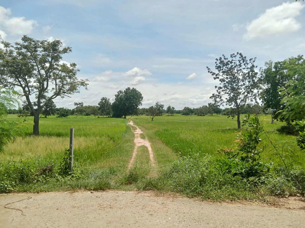 รูป ขายที่ดินด่วน 15 ไร่ 2 งาน 39 ตารางวา อ.ด่านขุนทด จ.นครราชสีมา ใกล้โกลบอลเฮ้า ใกล้บิ๊กซี ใน้ำไฟถึง ใกล้ถนน สีคิ้ว-ชัยภูมิ ติดต่อคุณไพศาล 0818790289 - รูปที่ 1/4