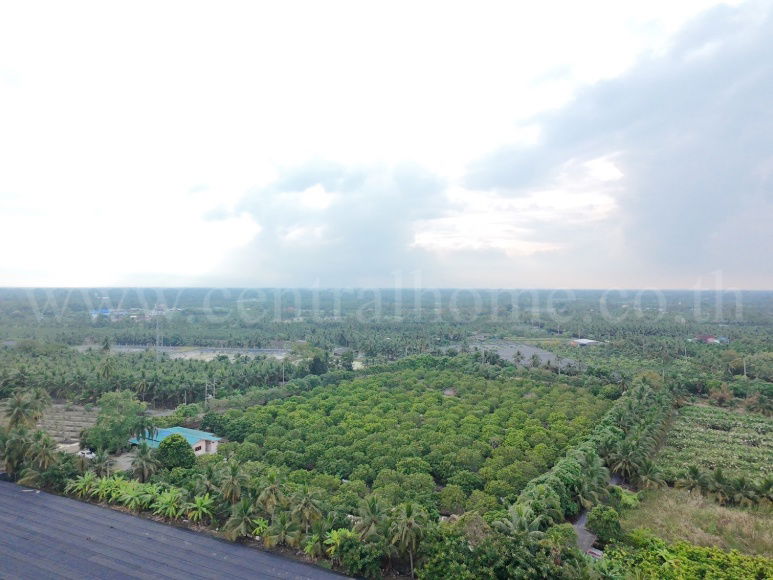 รูป ที่ดิน พร้อมสิ่งปลูกสร้าง 9-3-60 ไร่ สามพราน นครปฐม  - รูปที่ 3/12