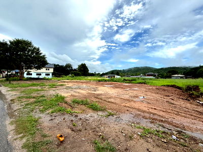 ที่ดิน เทสโก้โลตัส อู่ตะเภา : ขายที่ดินแปลงใหญ่ 787 ตารางวา ติดทางเข้าเส้น 331 – พลูตาหลวง สัตหีบ