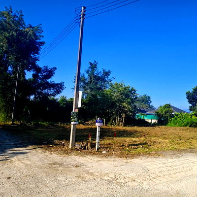 ที่ดิน เทศบาลตำบลสันกำแพง : ขายที่ดินตำบลสันปูเลยดอยสะเก็ตท่ารั้วแปลงมุมพร้อมโอน