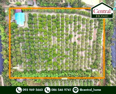 ขายที่ดิน : ที่ดิน พร้อมสิ่งปลูกสร้าง 9-3-60 ไร่ สามพราน นครปฐม 